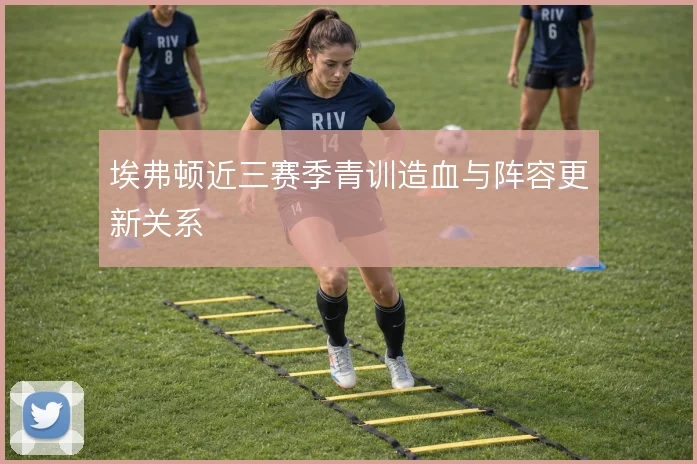 埃弗顿近三赛季青训造血与阵容更新关系